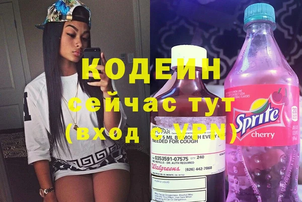 хмурый Нея