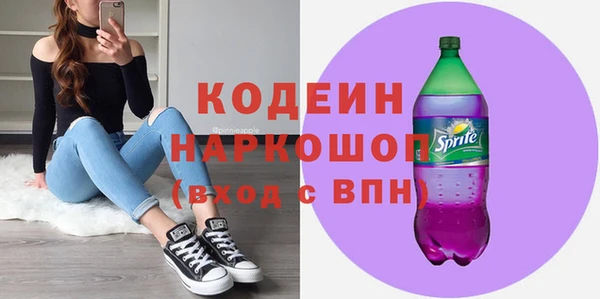 хмурый Нея