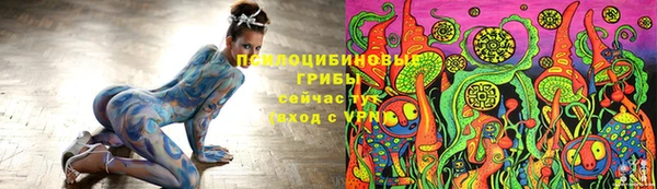 хмурый Нея