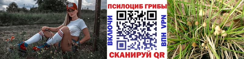 ссылка на мегу ТОР  Белебей  Галлюциногенные грибы мицелий 