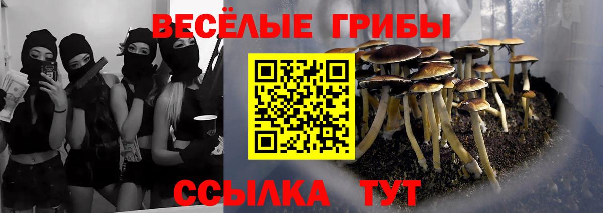 Псилоцибиновые грибы Magic Shrooms Белебей