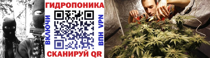 Конопля OG Kush  Белебей 